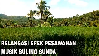 Relaksasi Suasana Efek Pesawahan || Musik Pedesaan Sunda