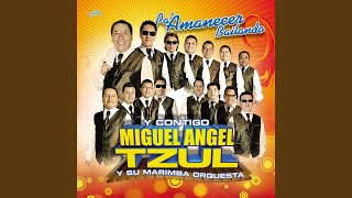 Video thumbnail of "Miguel Angel Tzul y su Marimba Orquesta - Rancheras 2013: Tragos Amargos / Rosita de Olivo / La Canasta / Caricia y Herida"