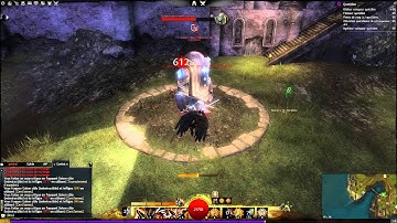 GW2 rotation DPS Warrior for [LAK]