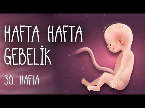 Hafta Hafta Gebelik 30. hafta