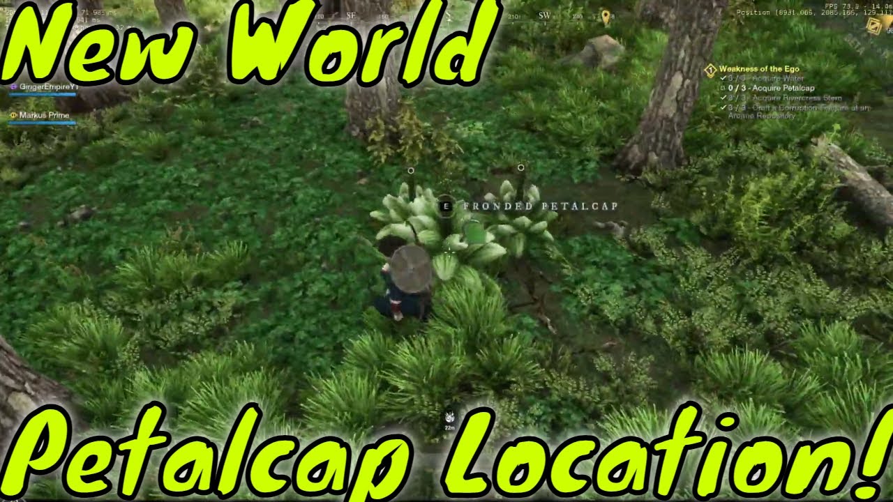 New World Petal Caps Best Location! YouTube
