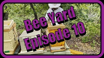 Episode 10 - Combining After Queen Replacement (2022)