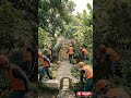 It’s a whole world… "The Tortoise Shire"