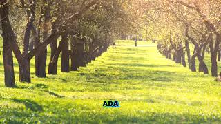 Download Lagu Roda Hidup Berputar Lirik Lagu MP3