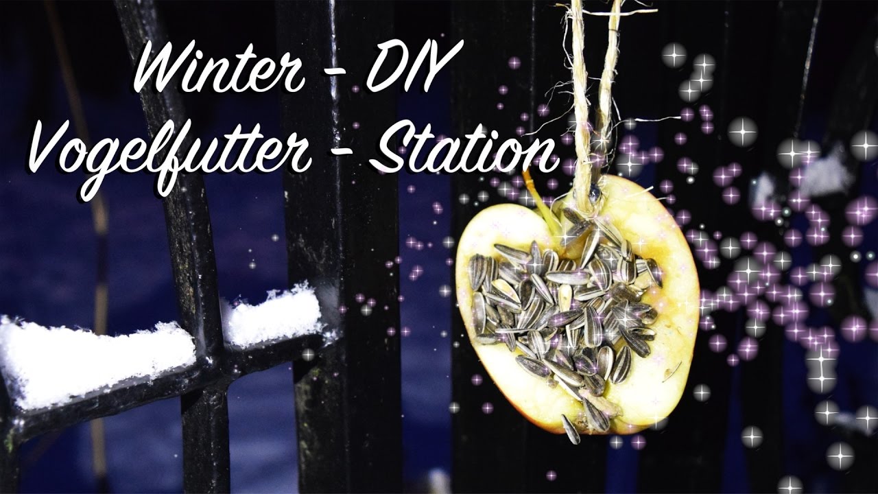 Vogelfutter station apfel winter diy für garten, terrasse ...