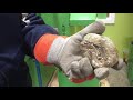 Recycling styrofoam