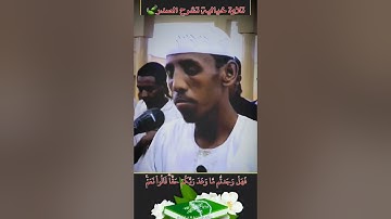 تلاوة جميلة جداً تأخذك إلى عالم آخر من التفكر والتأمل |القارئ حسام عبدالباقي