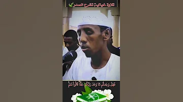 تلاوة جميلة جدا تأخذك إلى عالم آخر من التفكر والتأمل القارئ حسام عبدالباقي 