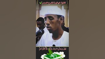 تلاوة جميلة جداً تأخذك إلى عالم آخر من التفكر والتأمل |القارئ حسام عبدالباقي