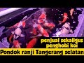 Penjual Koi Pondok Ranji Ciputat Tangerang Selatan