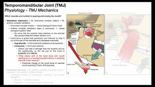 Temporomandibular Joint 😲 | Biomechanics Part 2/2