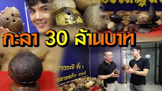 กะลา 30 ล้านบาท | ไทยทึ่ง WOW! THAILAND