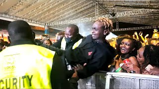 LIL MAINA CAUSED CHAOS AS HE WAS PULLED FROM CROWD TO SING UMBWAKINI AT ADEKUNLE GOLD SHOW