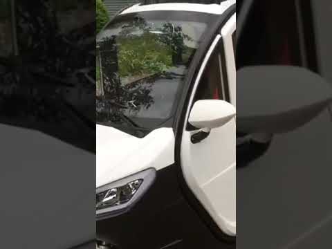 Наш покупатель делится впечатлениями о Triscooter REDANT с электрическим двигателем.