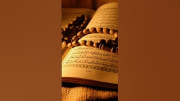 قران كريم 🌹✨// لا اله الا الله محمد رسول الله🌹✨