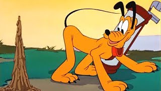 Шутки-минутки - 50 - Кэдди или пёс на побегушках | Мультфильм Disney | Классический Микки Маус Шутки-минутки - 50 - Кэдди или пёс на побегушках | Мультфильм Disney | Классический Микки Маус