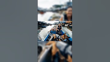 tạo video bằng công nghệ AI VEO 3 | Bà cô dẫn chó nghiệp vụ đi bắt cướp|