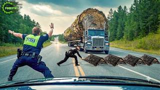 Dangerous Idiots Truck Heavy Equipment Fails Compilation Extreme Truck Idiots at Work