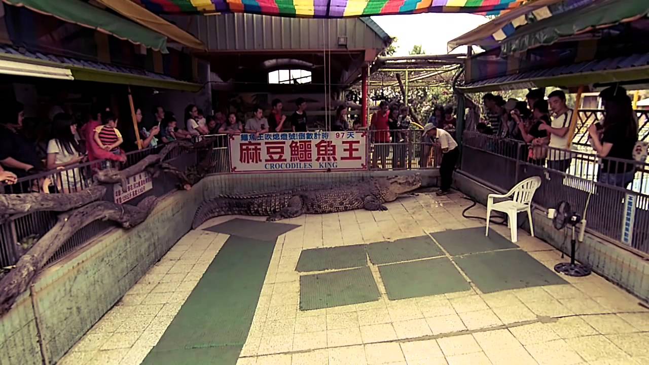 再會啦!小河! - YouTube
