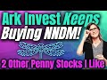 Ark Invest Keeps Buying NNDM Stock! Two Other Penny Stocks To Buy!