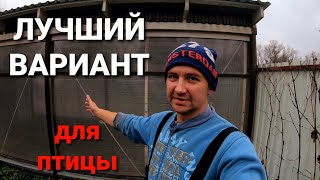 В ТАКИХ УСЛОВИЯХ ДОЛЖНА СОДЕРЖАТЬСЯ ИНДЕЙКА / ПОДГОТОВКА К СЛЕДУЮЩЕМУ СЕЗОНУ