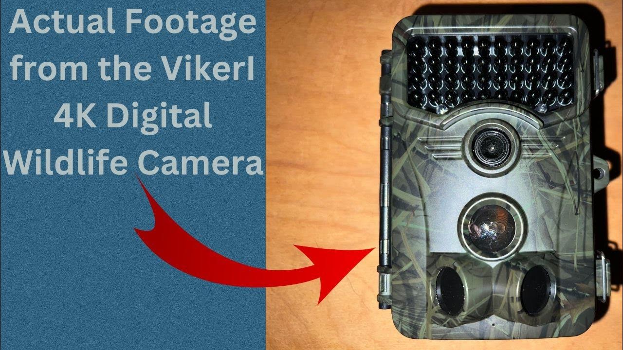 Actual Footage from the VikerI 4K Digital Wildlife Camera - YouTube