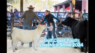 Steer & Heifer Show at the Inaugural Gulf Coast Youth Livestock Show in Fort Myers, FL