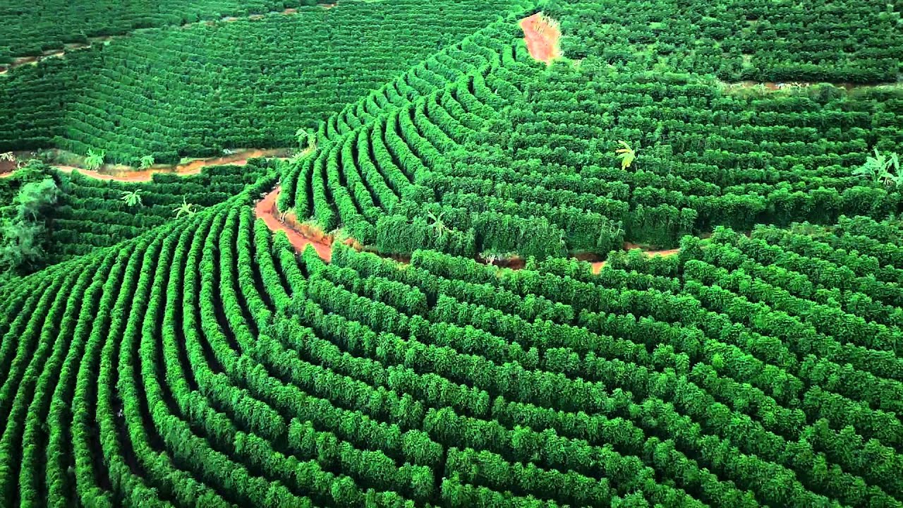 Mantiqueira de Minas lança selo IP para café torrado e moído