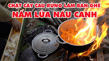 CHẶT CÂY CAU RỪNG LÀM BÀN GHẾ VÀ BỘI THU NẤM LỬA | Making tables and chairs in the forest