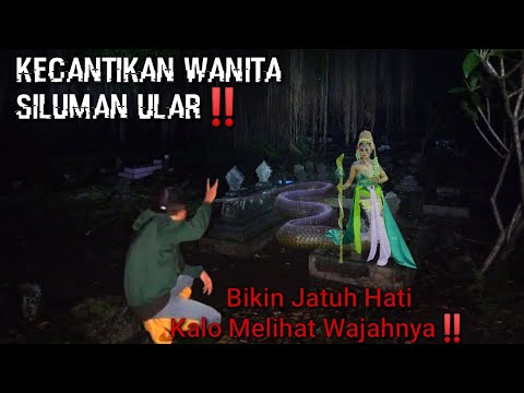 Video: Kecantikan yang memukau: ular karang