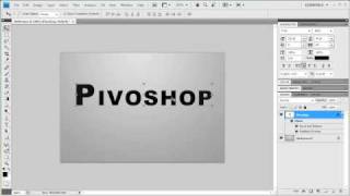 Photoshop CS4: Reflections