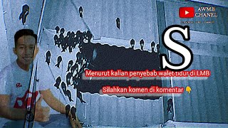 Suara Panggil Tarik anakan