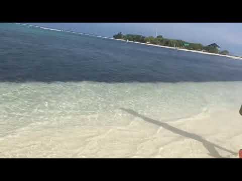 2018 Cebu Bohol #ikechan