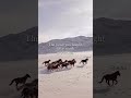 The peace you fought | Motivational Quotes, motivational status video