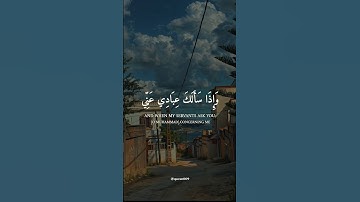 القارئ عمير شميم سوره البقره وإذا سألك عبادي عني #quran #اكسبلور #explore #الله