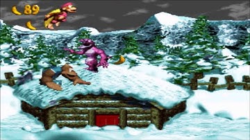 Donkey Kong Country 3: Dixie Kong