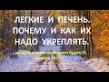 3.  Легкие и печень .Почему и как их надо укреплять.