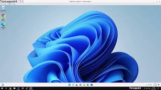 G2 Demo Series | How Forcepoint ONE handles application control Net Worth