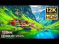 PLANET WONDERS 8K HDR VIDEO ULTRA HD / TV HDR REAL TEST DOLBY