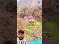 Vehicle ramp in jungle #tools4life #adventure #shortvideo #shortsfeed