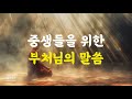 중생들을 위한 부처님의 자비로운 말씀