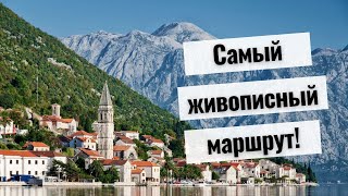 Черногория что посмотреть - Которский Залив