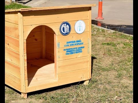 „ჩემი ადვოკატი” მიუსაფარი ძაღლებისთვის ხის სახლებს დგამს