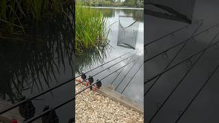 No better way to start the morning #fishing #carp #carpfishing #fish #fishinglife #linearfisheries