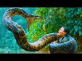 Humans Trapped In The Amazon Forest Discover The Biggest Ancient ANACONDA Summoned By Cannibals 