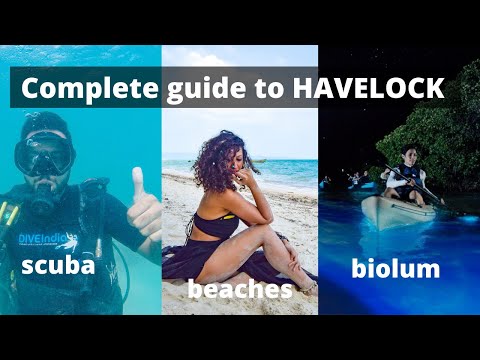 Havelock Island Tour / Budget Travel Guide | Scuba Dive, Biolum | Swaraj Dweep Andaman & Nicobar