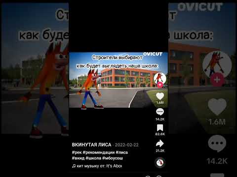 Как выглядит наша