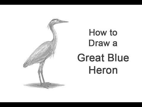 Video: How To Draw A Heron