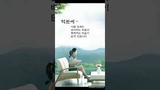 카카오톡 인사이미지 영상 감사합니다