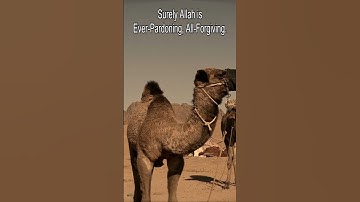 Surah AL HAJJ in Riwayah Sussi by A. Rashid Sufi | سورة الحج برواية السوسي